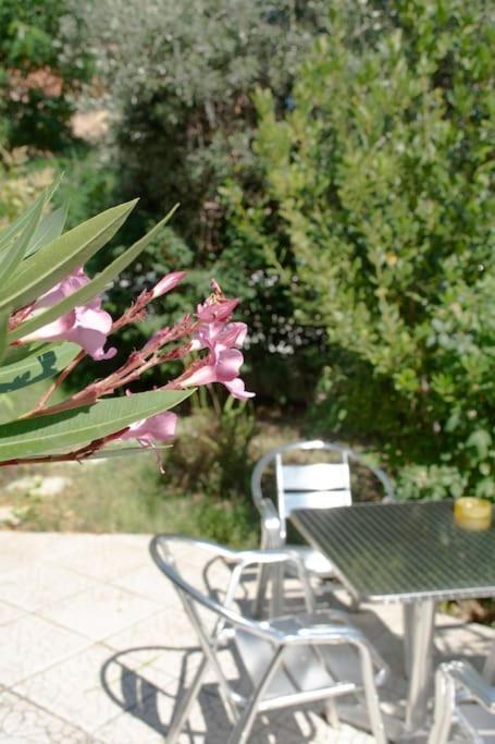 דירות אלכסנדרופולי Anadora 2: Hospitable Stone House With Yard מראה חיצוני תמונה