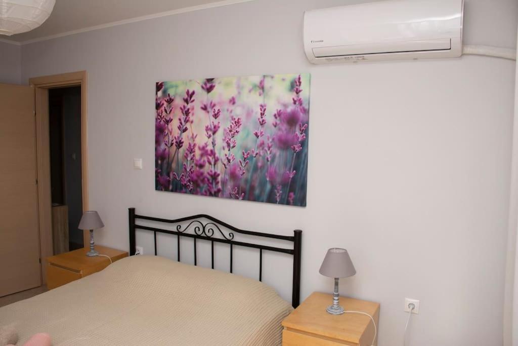 דירות אלכסנדרופולי Anadora 2: Hospitable Stone House With Yard מראה חיצוני תמונה