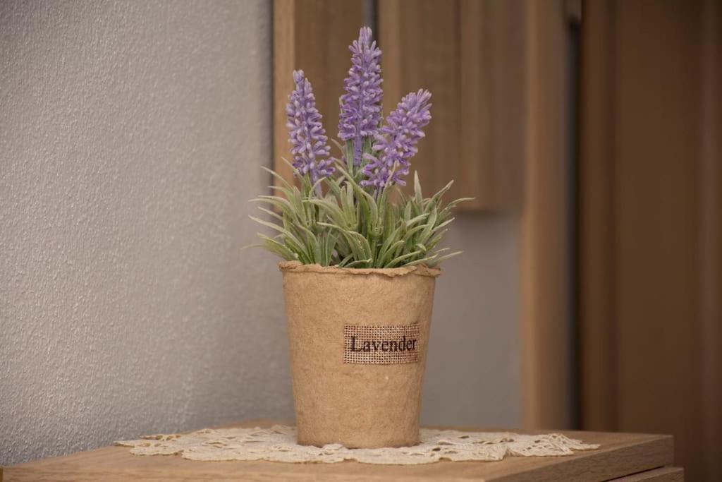 דירות אלכסנדרופולי Anadora 2: Hospitable Stone House With Yard מראה חיצוני תמונה
